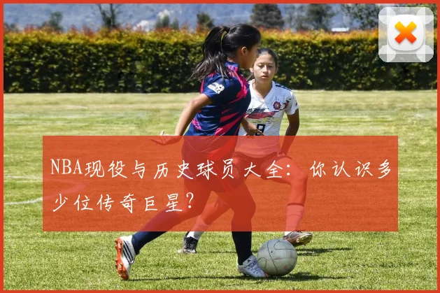 NBA现役与历史球员大全：你认识多少位传奇巨星？