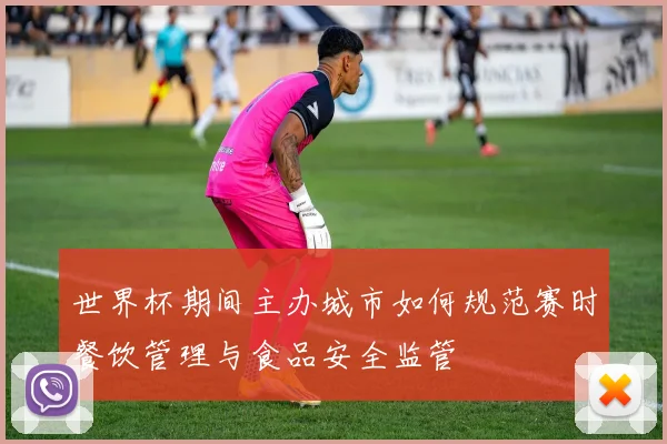 世界杯期间主办城市如何规范赛时餐饮管理与食品安全监管